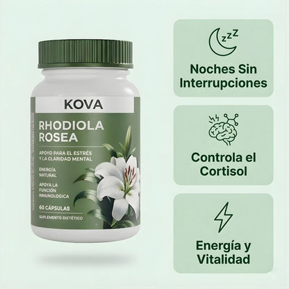 Rhodiola Rosea – mas energia y mejor forma
