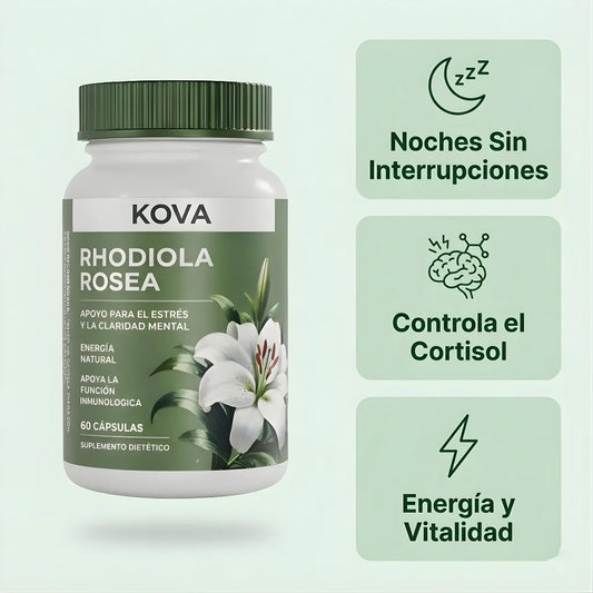 Rhodiola Rosea – mas energia y mejor forma
