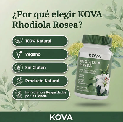 Rhodiola Rosea – mas energia y mejor forma